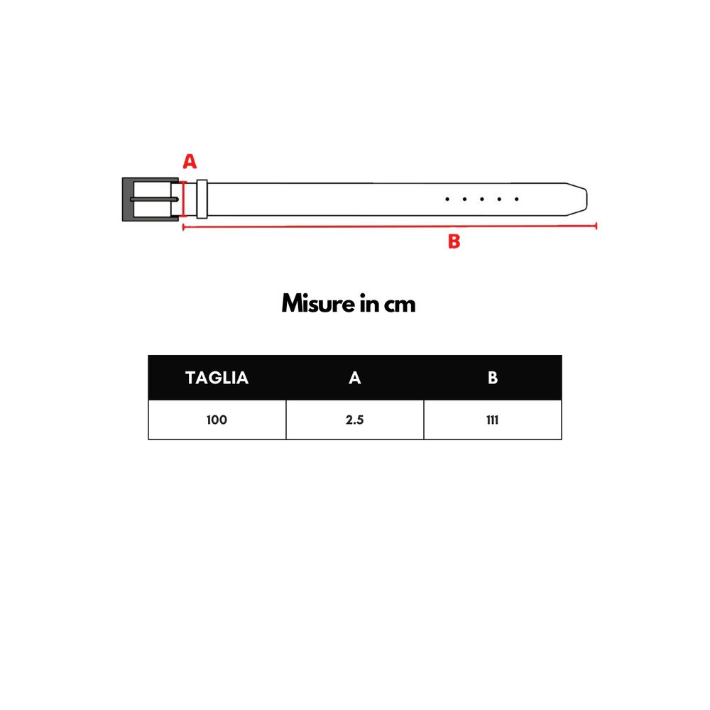 Dolce &amp; Gabbana Brown Calfskin Belt